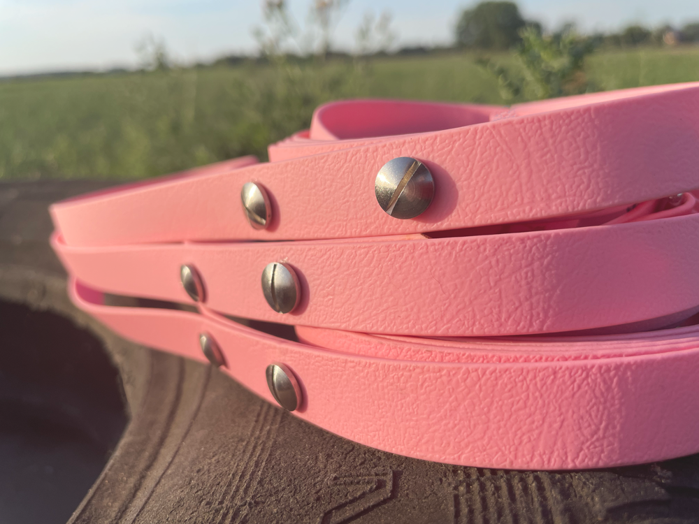 Laisse pour chien AUTOUR DU COIN (1,50 m) en BioThane®/POP tape