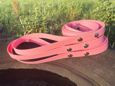 Laisse pour chien AUTOUR DU COIN (1,50 m) en BioThane®/POP tape