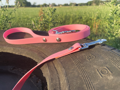 Laisse pour chien AUTOUR DU COIN (1,50 m) en BioThane®/POP tape