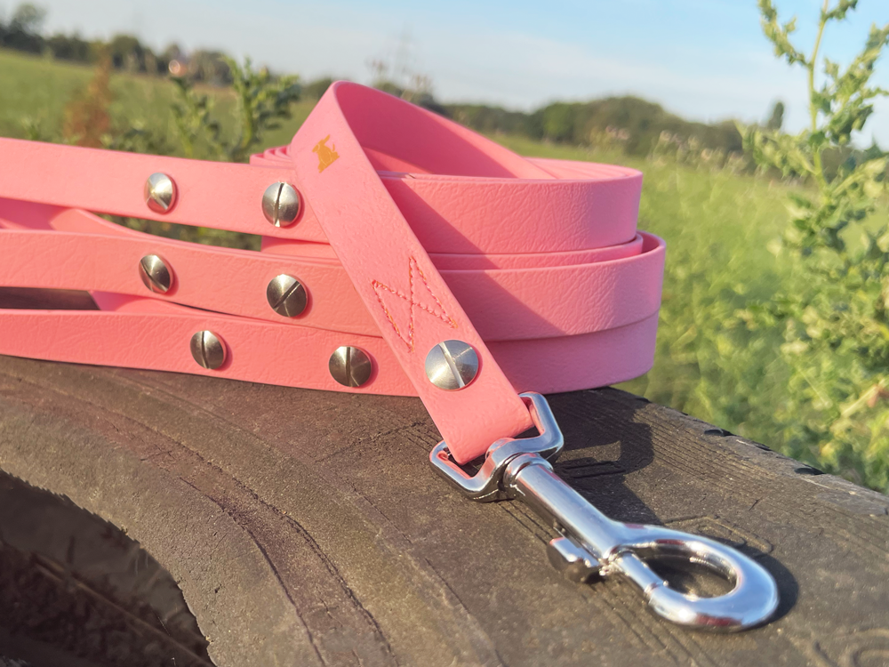 Laisse pour chien AUTOUR DU COIN (1,50 m) en BioThane®/POP tape