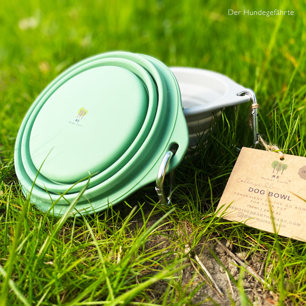 Portable silicone bowl "Mother Earth"