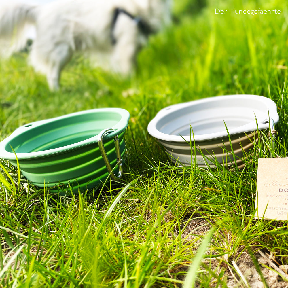 Portable silicone bowl "Mother Earth"