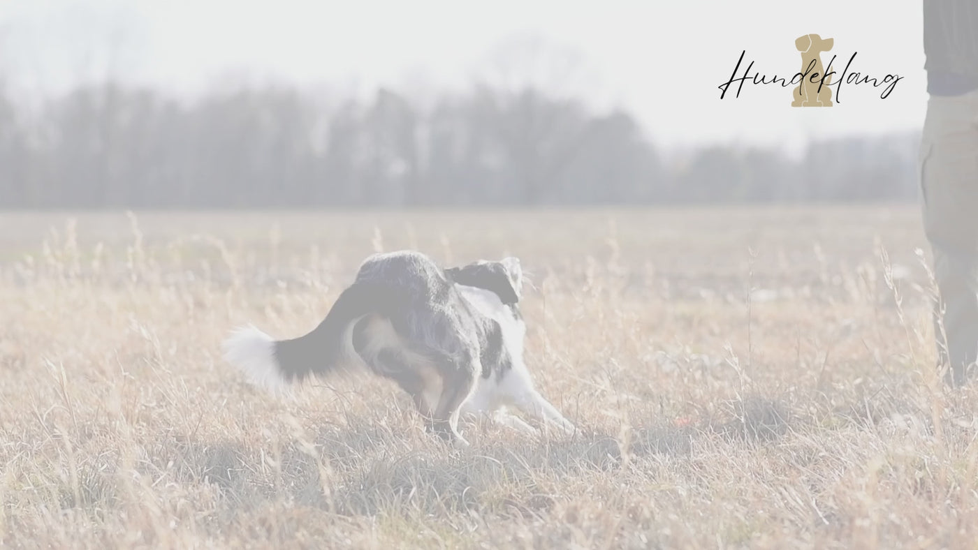 Dressage canin « Les bases de la surveillance individuelle »