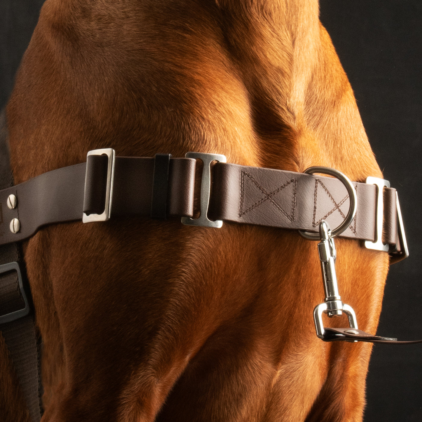 No Pull Harness STURMFREI®