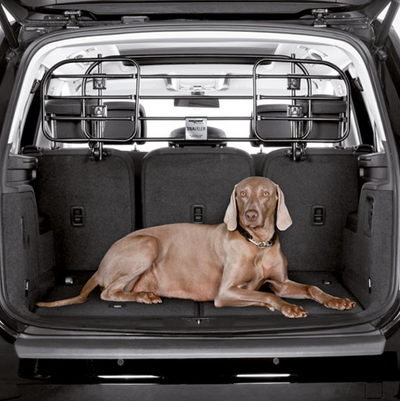 Caisse de transport de chien pour la voiture