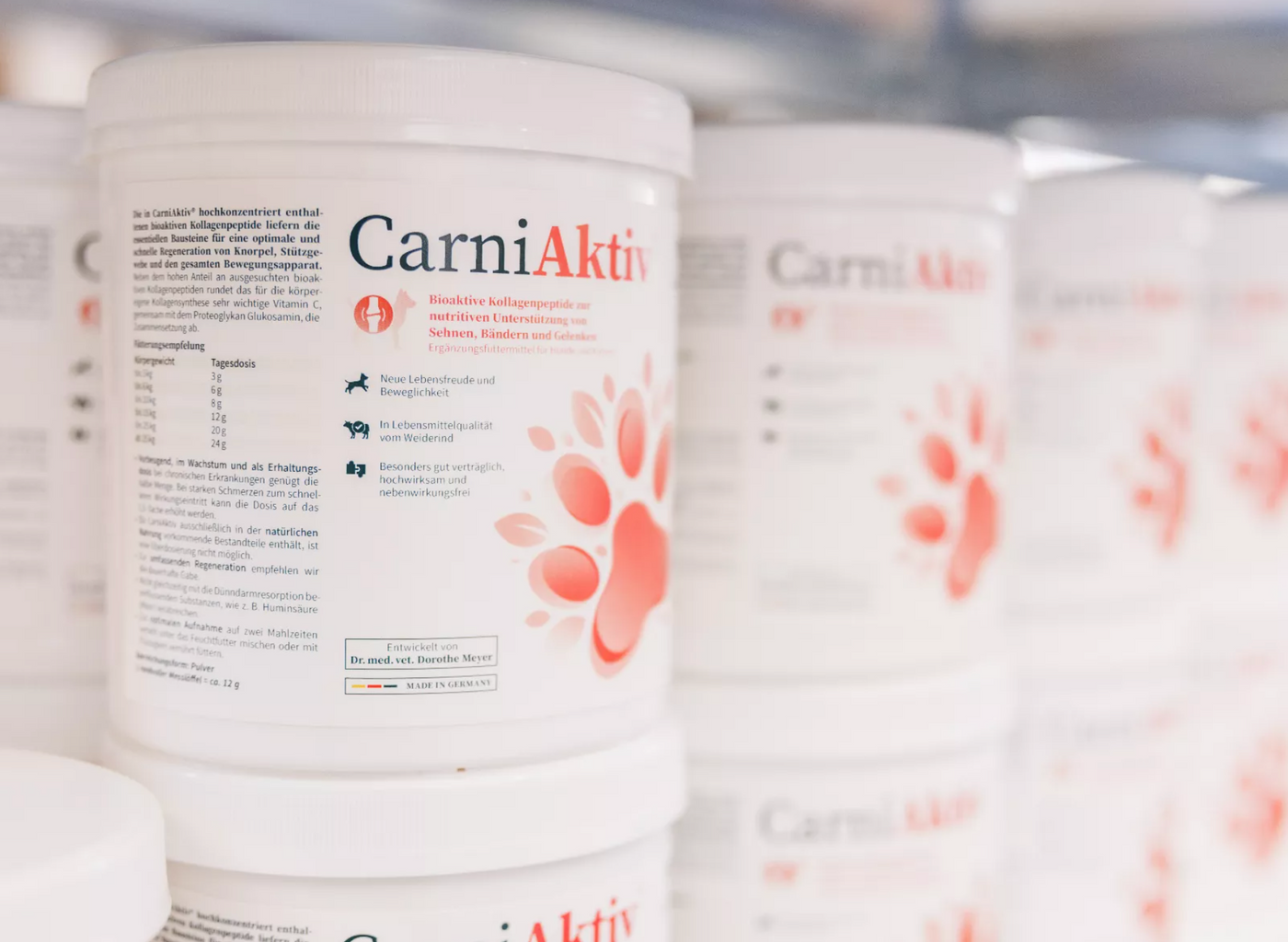 Intestinal building &amp; strengthening of the dog