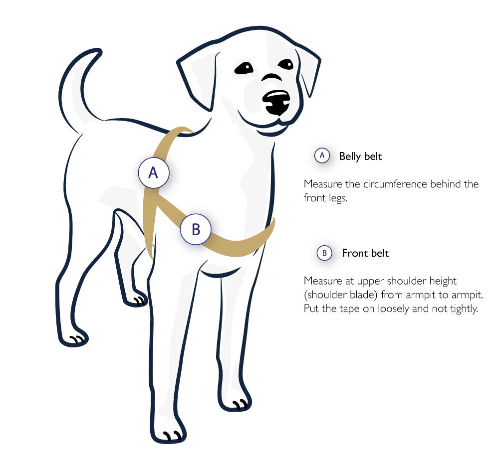 Dog stomach belt online