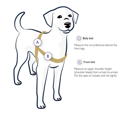 No Pull Harness STURMFREI®