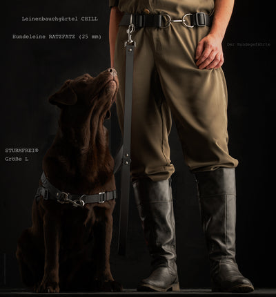 Leinenführigkeitsgürtel für Hunde