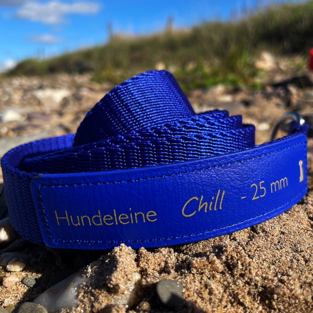 Hundeleine CHILL Blau 25 mm