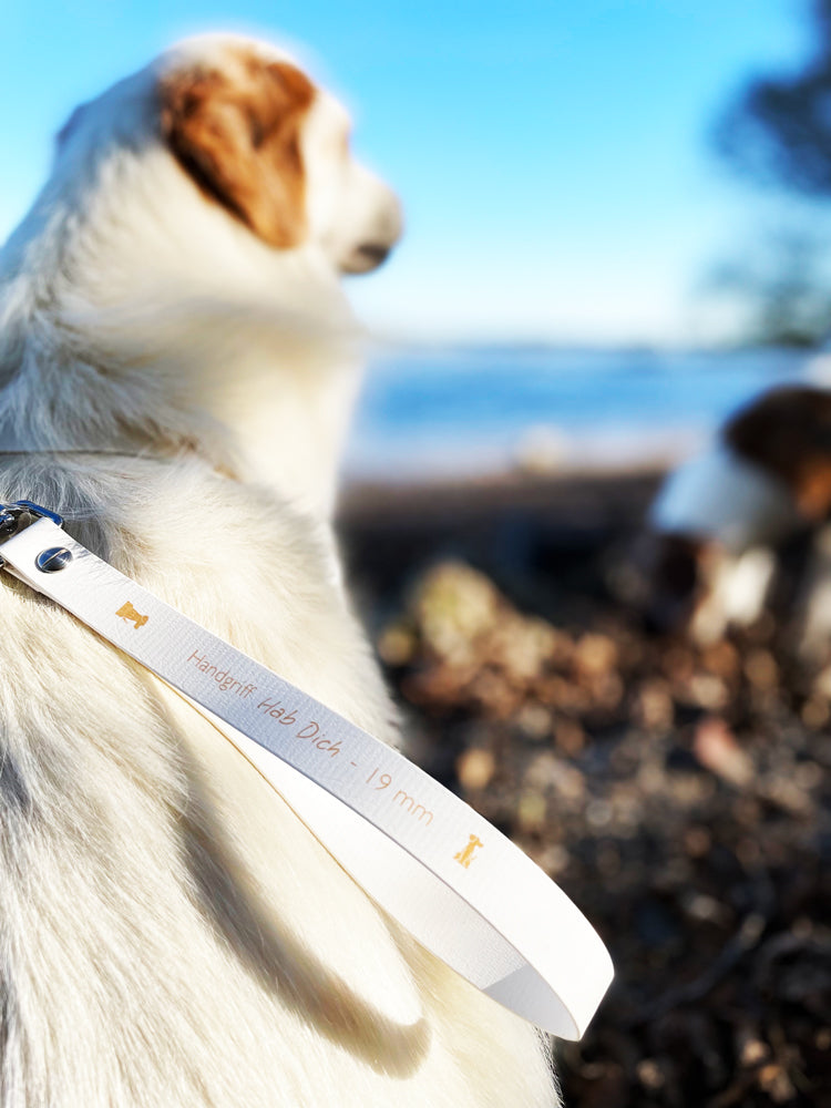 Handgriff zur Sicherung des Hundes in weiß